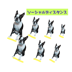 Chiyo_20200514235256