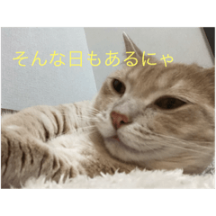 akari_20200515001037