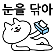 Cat lying down 4 South Korea