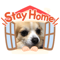 Miho_20200515004600-1