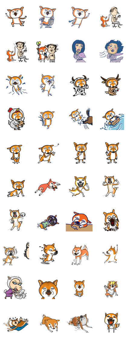 Shiba dog PanPan's normal life 2