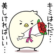 handsome bird