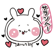 KOREA RABBIT