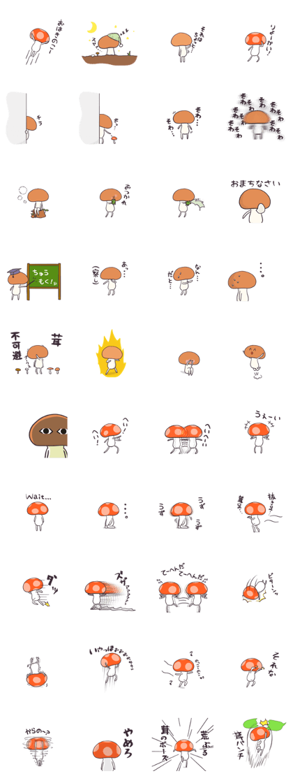mushroom everyday(jpn)