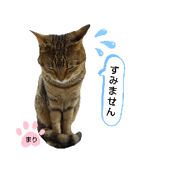 michiko_20200515081103