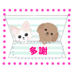 Sora and Riku message sticker Taiwanese