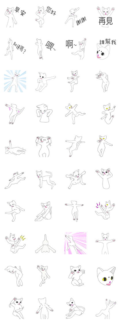 White cat everyday(1