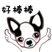 Dr.Feng and his daughter ChiHuaHua Bibi