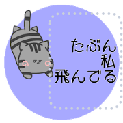 mackerel tabby cat ; gray tabby