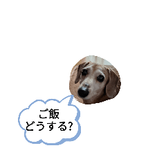 Yukari_20200515114427