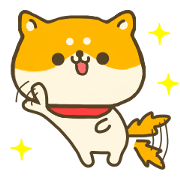 dog Shiba inu