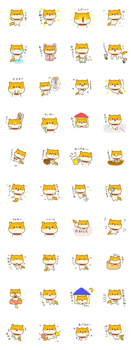 dog Shiba inu
