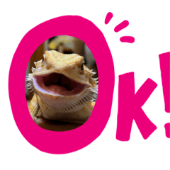 saori_20200515123447