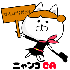 CAT CA