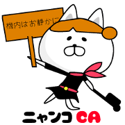 CAT CA
