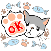 A cute world out of cat 2