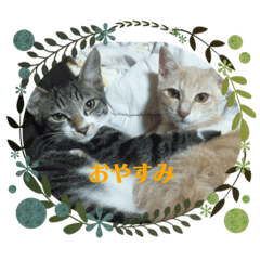 aoi_20200515121602