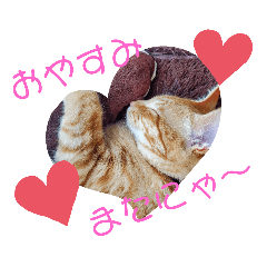 haruna_20200515125317