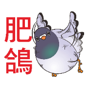 Messenger pigeon manure