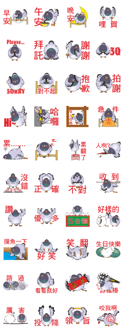 Messenger pigeon manure