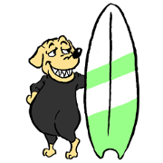 Breeds,Surfer Breeds,Surfer