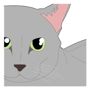 Realistic system cat