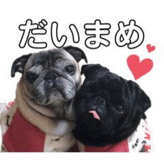 Arisa_20200515143247