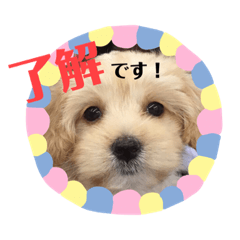 Mahiro Okawa_20200515134407