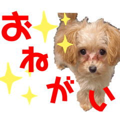 monaka_20200515154940