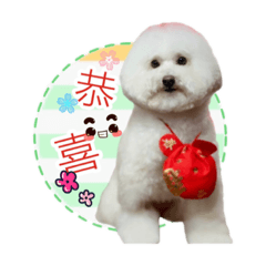 朵拉&瓜雞日常