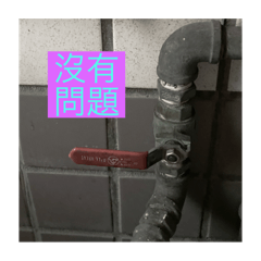 臭妹人生無大志