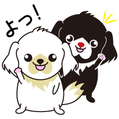 White dog and black dog.1
