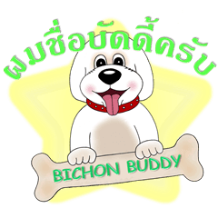 Bichon Buddy (Thai version)