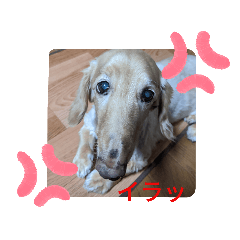 suzu_20200515172258