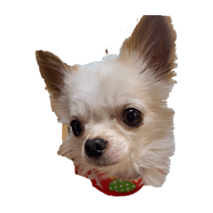 saori_20200515200509