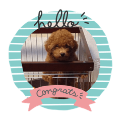 saori_20200515212856