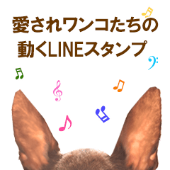 Loved dogs' moving LINE stickers
