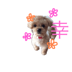 haruna_202005152215020122