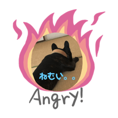 yamada_202005151744186