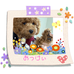 rie_20200515230933888