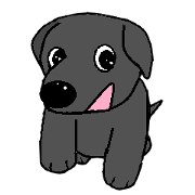 I Love Labrador Retriever