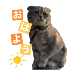 nagisa_20200515224544