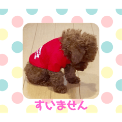 vivi_20200515185638