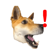 Fine! mydog