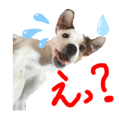 matsu_20200516103237