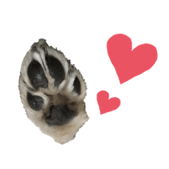 Ayumi_20200515235420