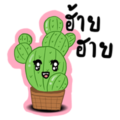 Nong Lin cactus