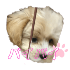 ayaka_20200516103944