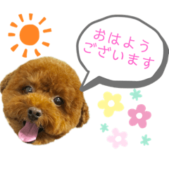 Sally_20200516131700