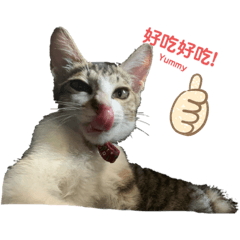 調皮搗蛋的錢錢